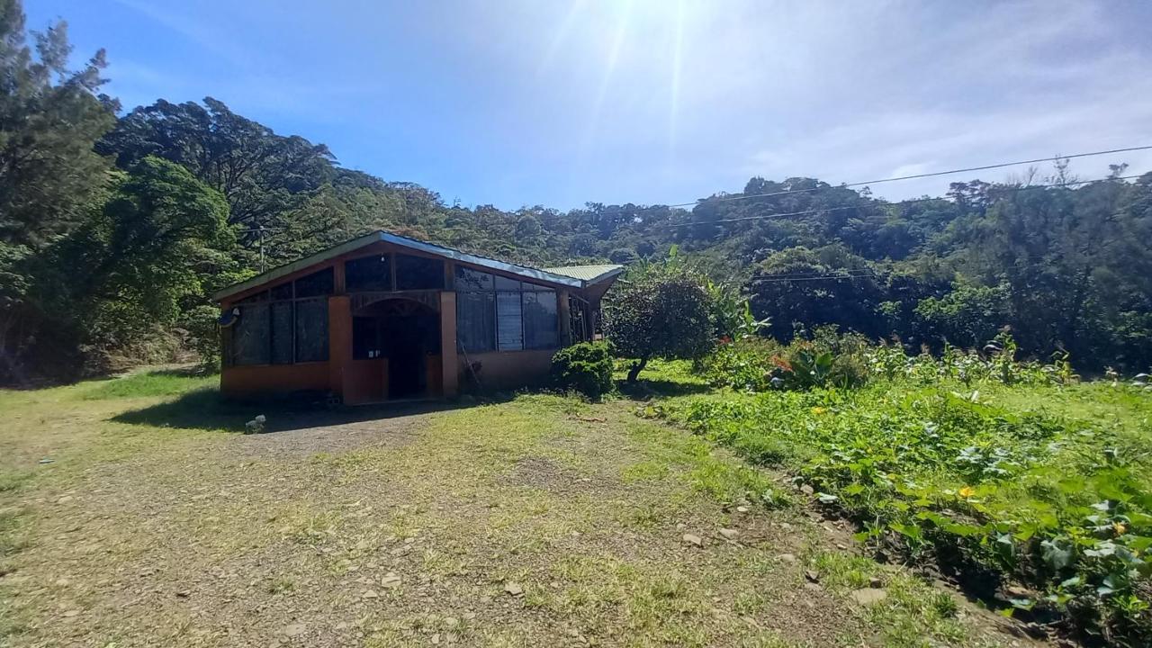 Finca Pantera Hotell Monteverde Exteriör bild