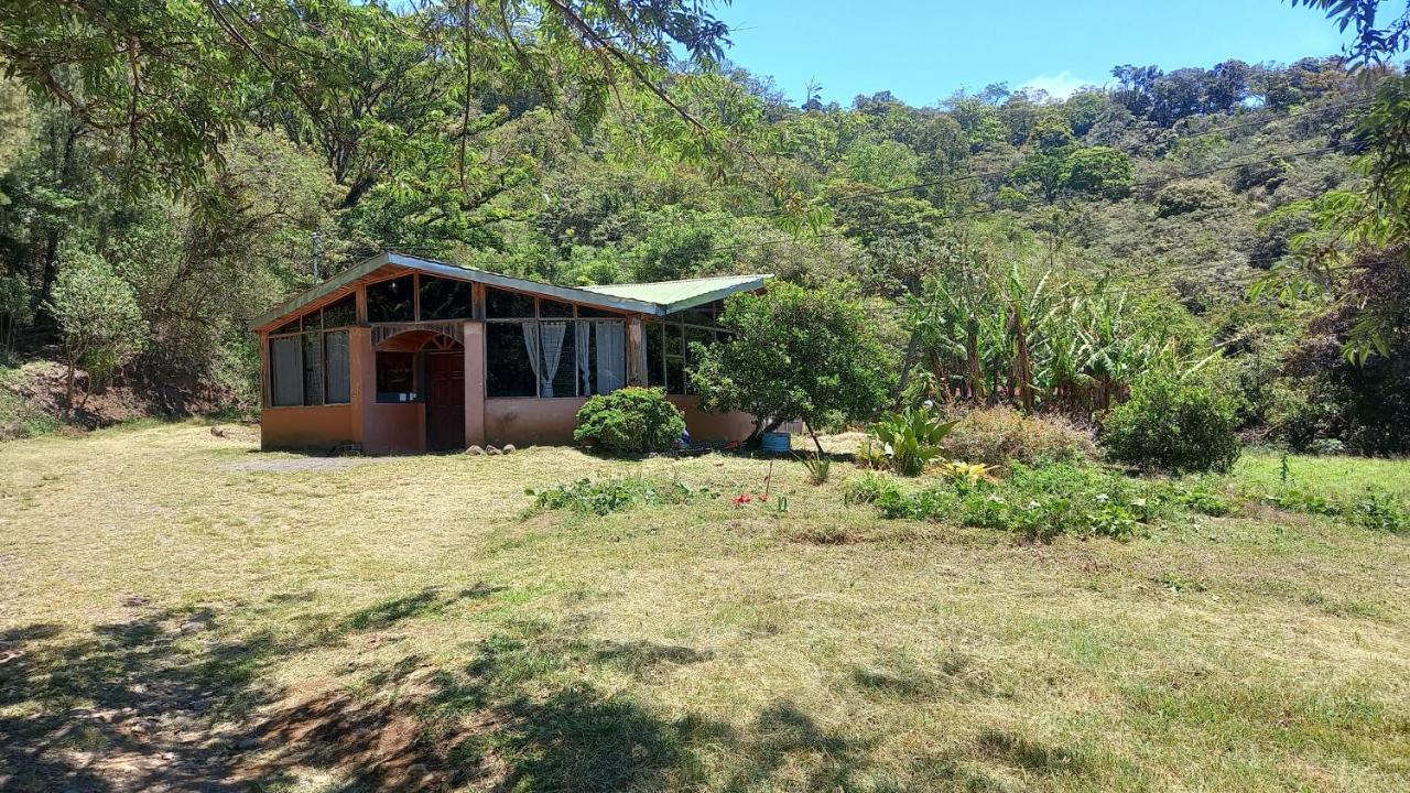 Finca Pantera Hotell Monteverde Exteriör bild